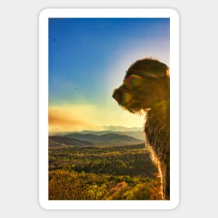 Griffon Sunset Over the Blue Ridge Sticker